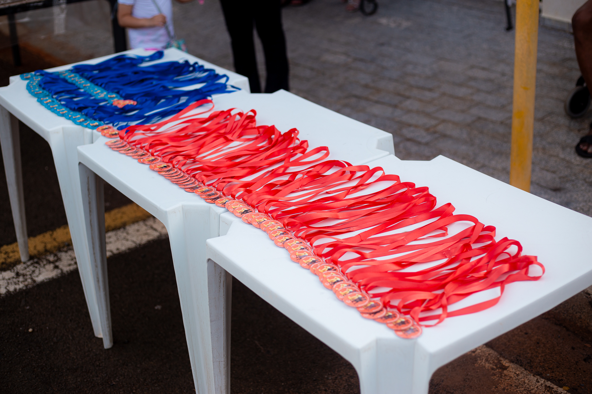 Descrição da Imagem 33